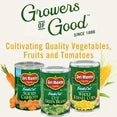 Del Monte Blue Lake French Style Green Beans